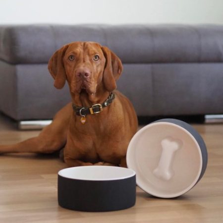 L keramikas 3D lēnās barošanas bļoda suņiem Tilpums 1,4l 3D cool Slow Feed Bowl Hipoalerģiska