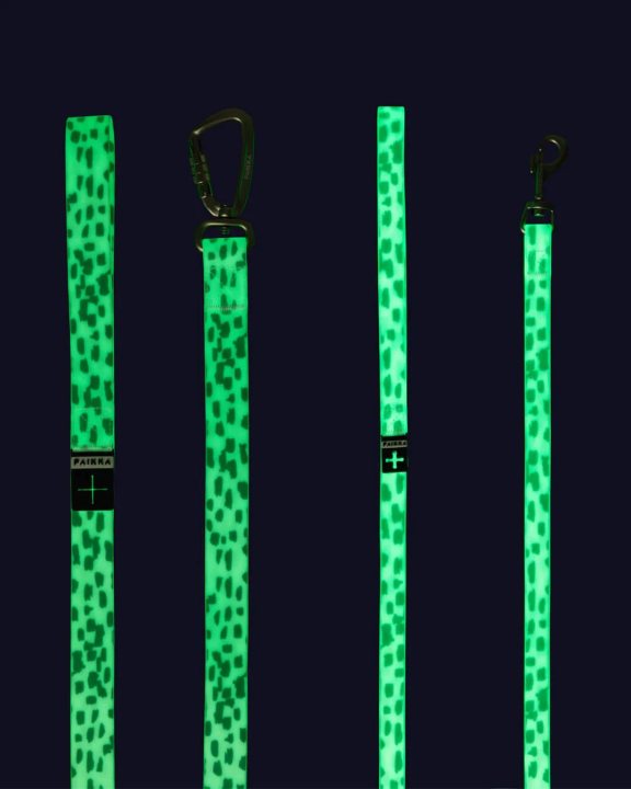 Leoparda pavada spīd tumsā 90-120minūtes,pašspīdošs materiāls 2cmx180cm suņiem PAIKKA Glow Leash 2.0 brūns/balts - Image 2