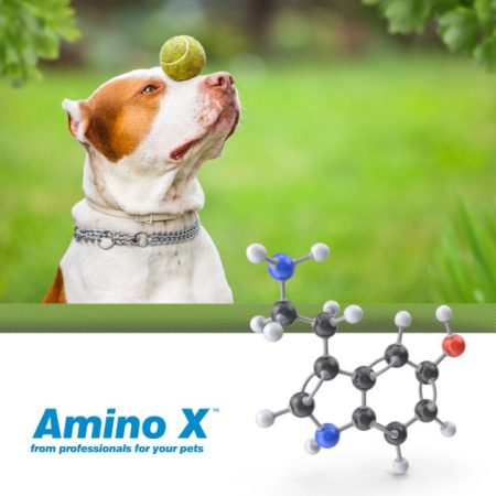 Amino X aminoskābes-minerālvielas suņiem, kaķiem un citiem dzīvniekiem