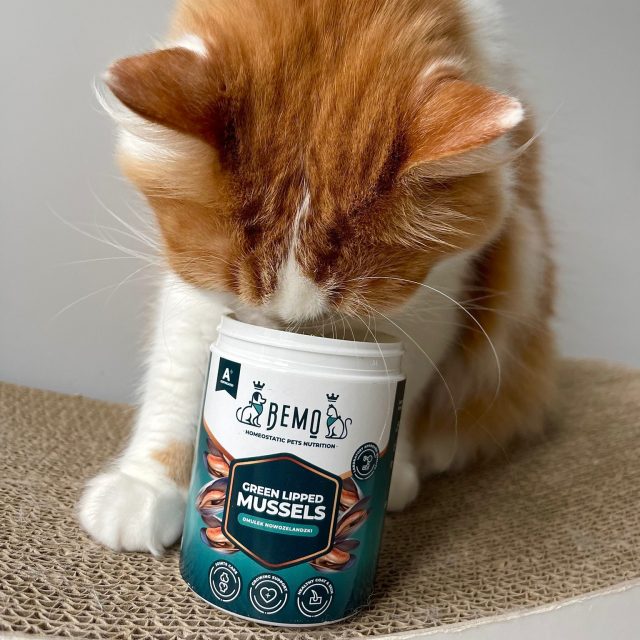 Liofilizēta Jaunzēlandes Zaļās gliemenes suņiem un kaķiem Bemo Green Lipped Mussels 130g - Image 2
