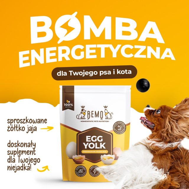 Olu dzeltenums enerģijas / taukskābju avots suņiem un kaķiem Bemo Egg Yolk 130g | 500g - Image 4