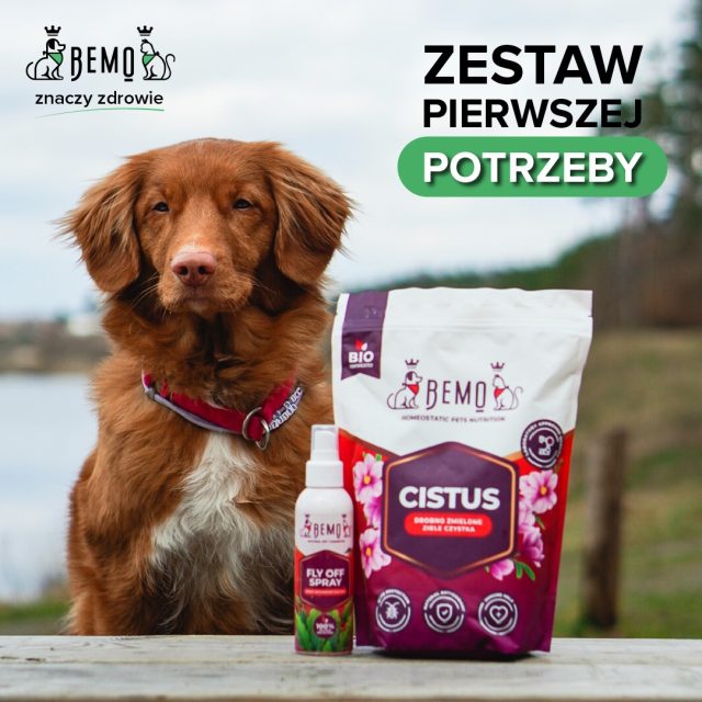 Klinšu roze toksīnu ķermeņa attīrīšana ar antioksidantu un imunoprotektīvu iedarbību suņiem / kaķiem Bemo Cistus 130g un 600g - Image 3