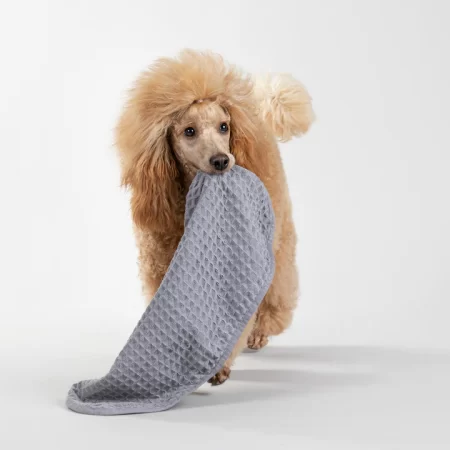 Dvielis ar sudraba joniem suņiem un kaķiem Drying Towel pelēks hipoalerģisks 30x50cm
