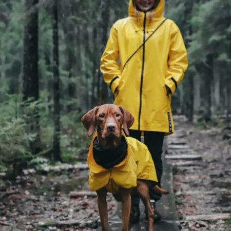 Lietusmētelis sievietēm-atstaro tumsā Dzeltens W garāks modelis pastaigai ar suni treniņam xs s/m l/xl