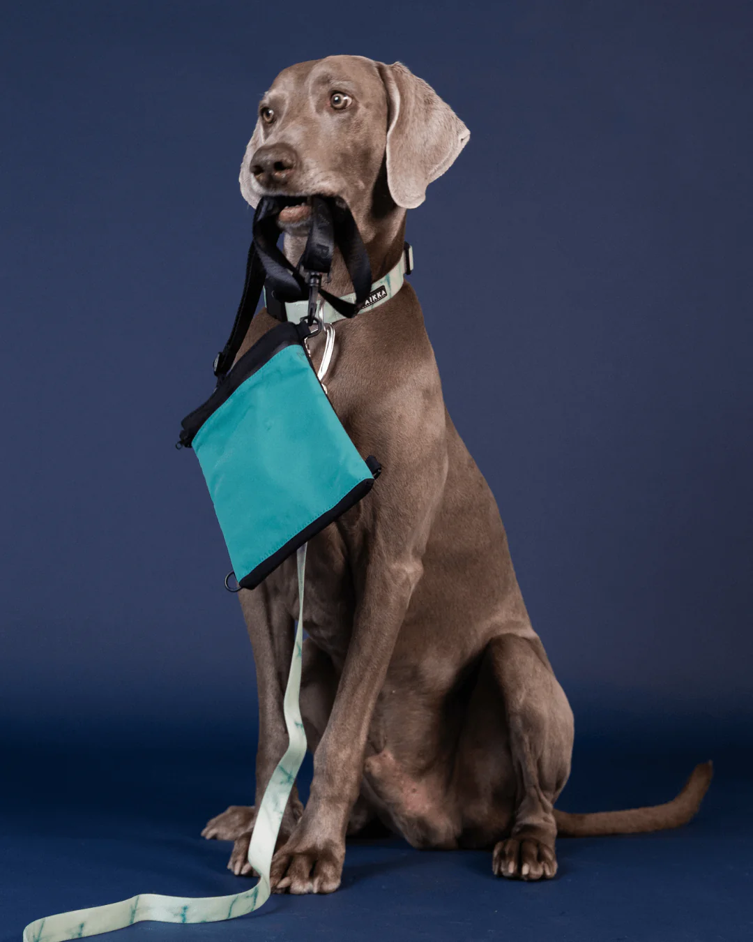 Kārumu soma suņiem- atstaro ūdensizturīga Treat Pouch Smaragds zaļa - Image 3