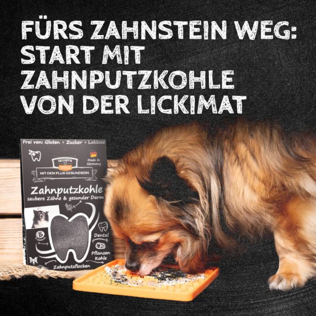 2in1 zobu pārslas un veselīgas zarnas - papildbarība suņiem Dental Charcoal 80g - Image 4