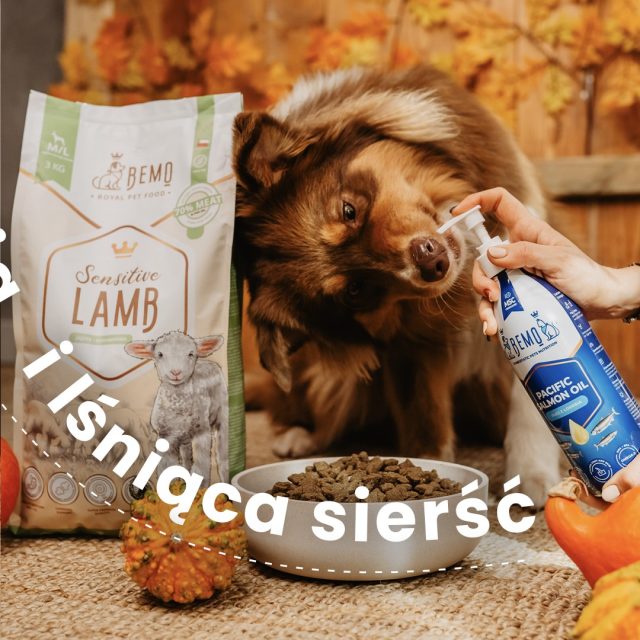 Savvaļas Aļaskas laša eļļa 1000ml suņiem kaķiem Omega -3-6 savstarpēji pareizās proporcijās Bemo Pacific Salmon Oil - Image 2