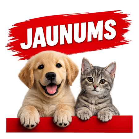 JAUNUMS